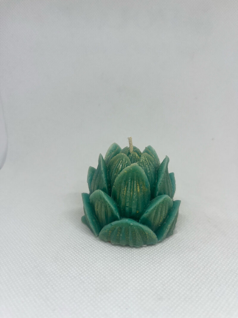 Vela Candela de parafina tipo Zuculenta