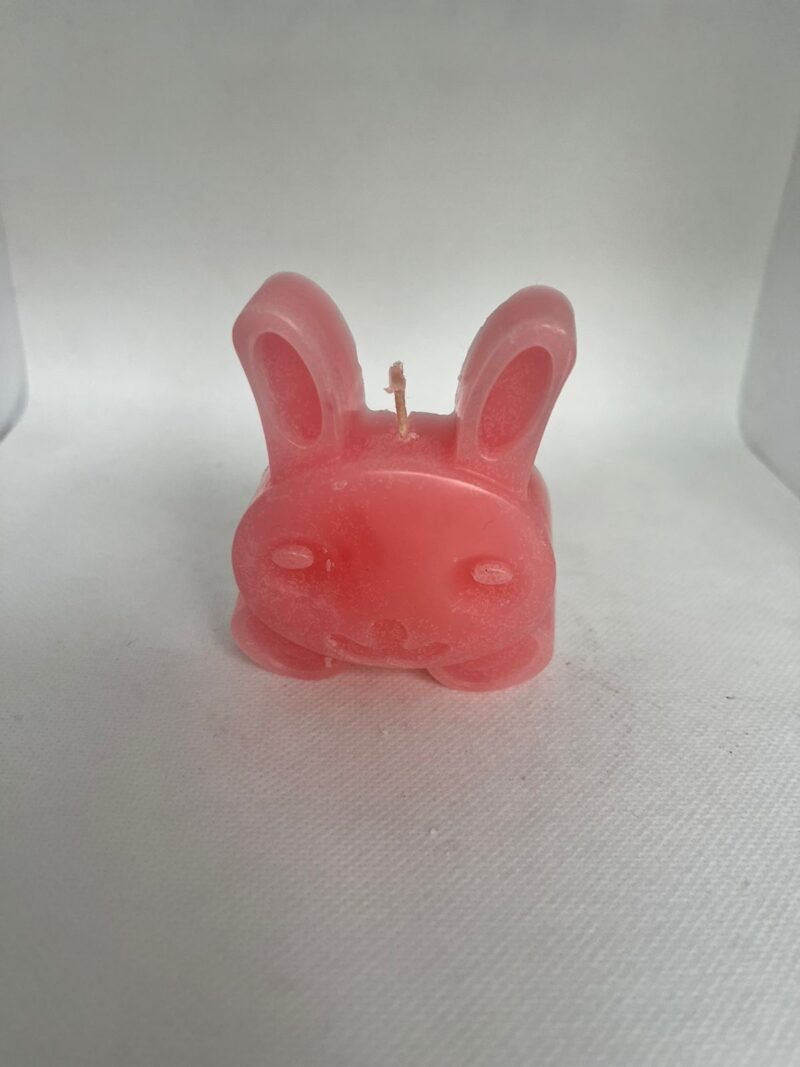 Conejito Vela o candela de para