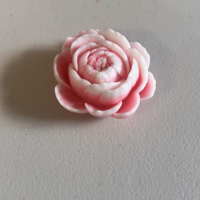 Flor amapola vela o candela